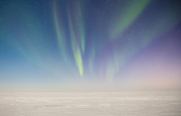 Sam Amato Poster featuring the photograph Prudhoe Bay Aurora Borealis by Sam Amato