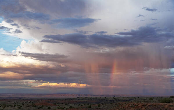 Horizontal Poster featuring the photograph Desert Rain at sunset Arizona by Patrick McGill