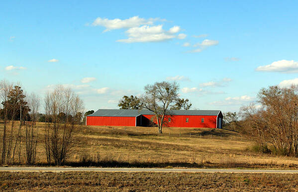 Barns Poster featuring the photograph Red and Brown by Jennifer Robin