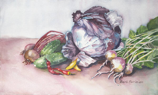 Cabbage Poster featuring the painting Red Cabbage by Barbara Parisien