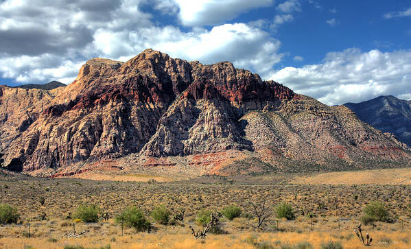 Rock Poster featuring the photograph Red Rock by Andrea Platt