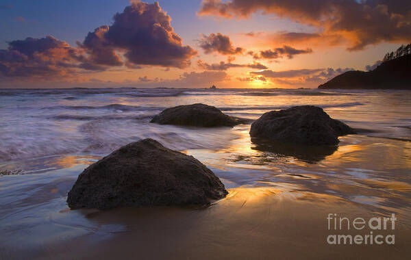 Sunset Poster featuring the photograph Reflected in the Sand by Michael Dawson