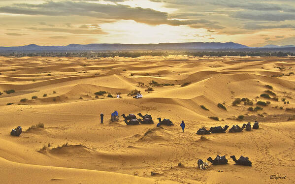 Sahara Dunes sand Dunes Desert Morocco Camels Berbers Poster featuring the photograph Rest Stop Sahara by Christopher Byrd