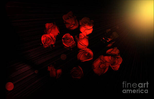 Roses Poster featuring the photograph Roses and Black by Oksana Semenchenko