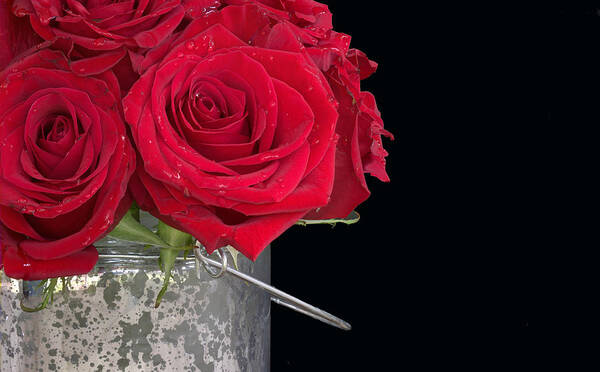 Roses Poster featuring the photograph Roses in a Bucket 02 by Phil And Karen Rispin