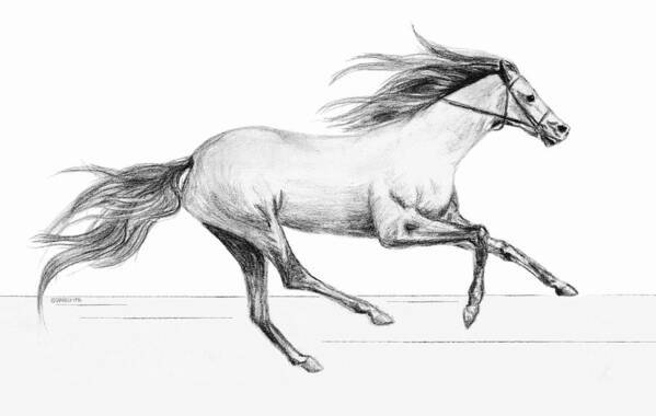 Horse Poster featuring the drawing Runaway by SophiaArt Gallery