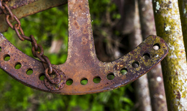 Paint Poster featuring the photograph Rusty Plow Part by Steven Ralser