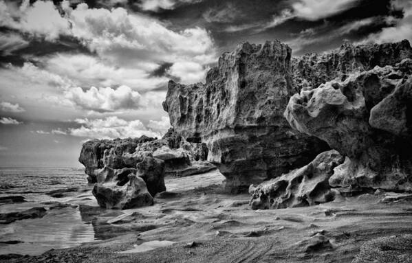 Black Poster featuring the photograph Sabellariid Worms Reef - 3 by Rudy Umans