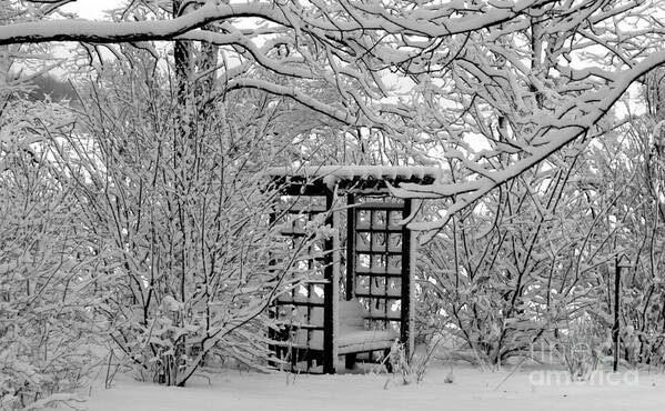 Garden Poster featuring the photograph Serenity in Snow by Margaret Hamilton