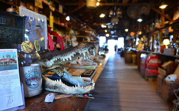 Everglades Poster featuring the photograph Smallwood Store est 1906 by David Lee Thompson