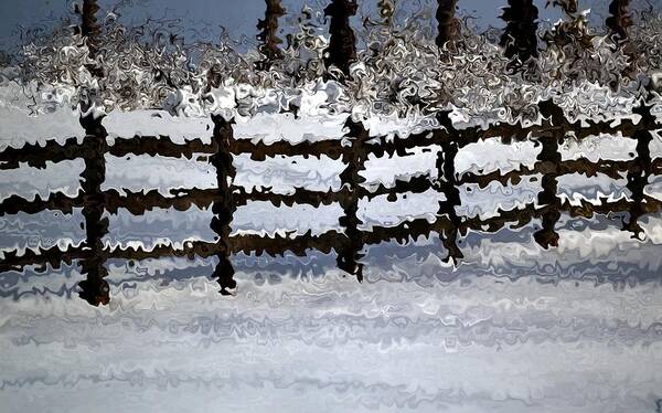 Funky Poster featuring the photograph Snow covered fence by Nina-Rosa Dudy