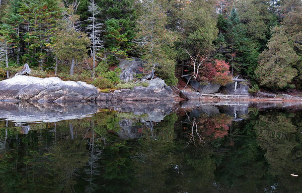 Water Poster featuring the photograph Splitting Image by Jean Macaluso