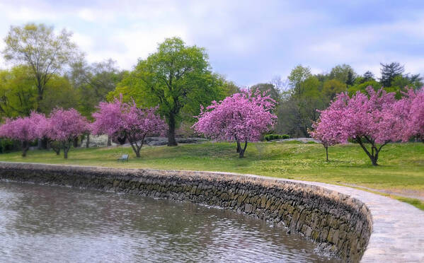 Landscape Poster featuring the photograph Spring Cove by Diana Angstadt