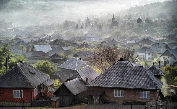 Roof Poster featuring the photograph Spring Morning by Andrei Nicolas -