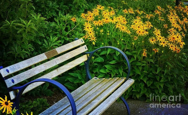 Bench Poster featuring the photograph Summertime Bench by Maria Janicki