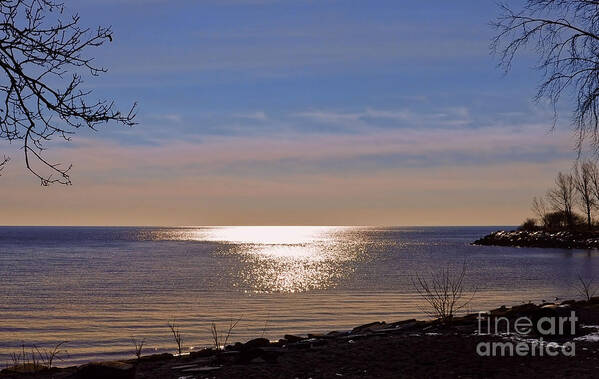 Lake Poster featuring the photograph Sunlight on Lake Ontario by Elaine Manley