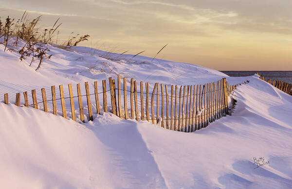 Betty Denise Poster featuring the photograph Sunrise on Beach Fence by Betty Denise