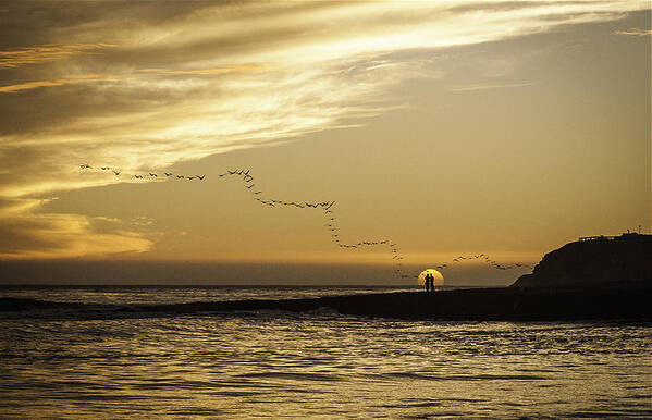 Sunset Ocean Coast Beach santa Cruz Rock Lovers Birds Waves California Orange Sun Shore Pacific Poster featuring the photograph Sunset at Natural Bridges by David Kerbyson by California Coastal Commission