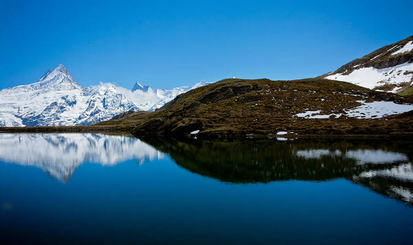 Alps Poster featuring the photograph Swiss Alps - Schreckhorn Reflection by Anthony Doudt