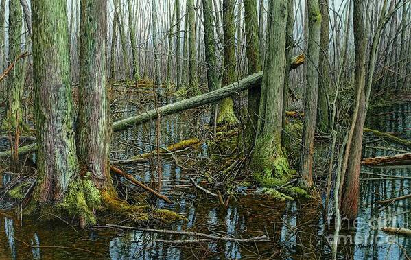 Water Poster featuring the painting The Swamp 4 by Robert Hinves