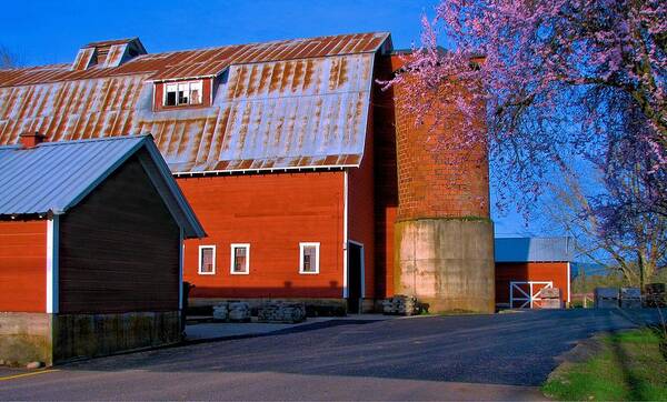 Hdr Poster featuring the photograph Thistledown Farm Silo by Lora Fisher