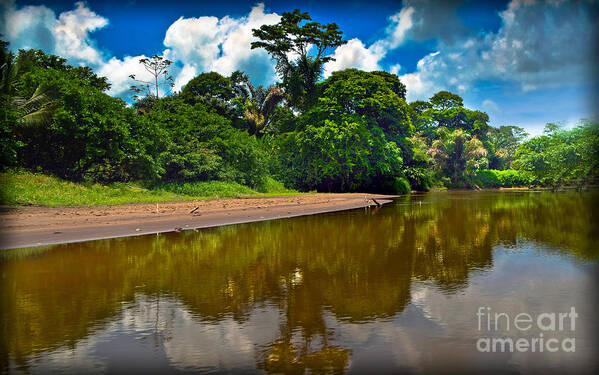 Tortuguero Poster featuring the photograph Tortuguero River Canals by Gary Keesler