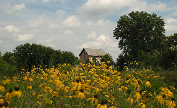 Old Mill; Mill;flour Mill;flowers;summer;landscape; Waterloo Poster featuring the photograph Waterloo Mill by Janice Adomeit