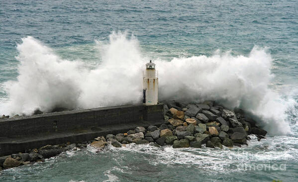 Agitated Poster featuring the photograph Waves by Antonio Scarpi