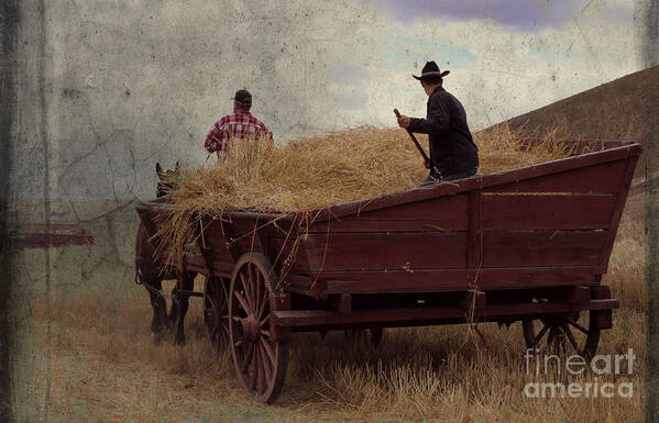 Wheat Poster featuring the photograph Wheat Wagon by Sharon Elliott