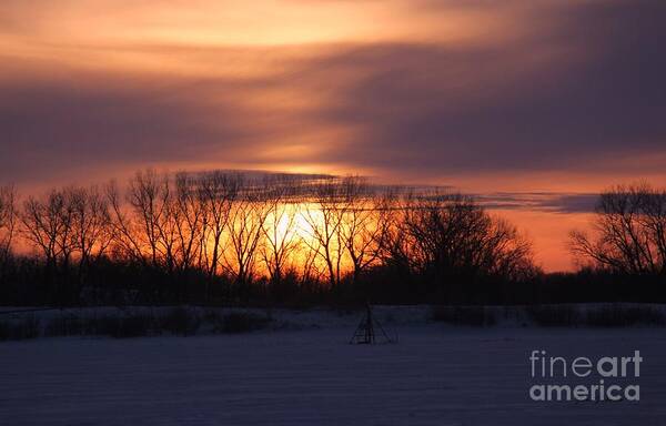 Sun Poster featuring the photograph Winter field sunset by Yumi Johnson
