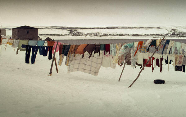 Clothes Line Poster featuring the photograph Winter Wash Day Labrador by Douglas Pike