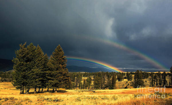 Yellowstone Poster featuring the photograph Yellowstone Rainbow by Clare VanderVeen