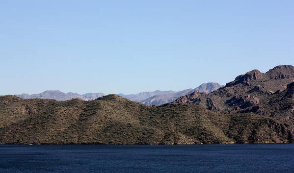 Sagouro Poster featuring the photograph Arizona Landscape #1 by Kim Galluzzo