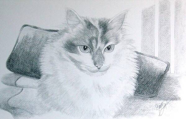 Pet Portrait Art Poster featuring the drawing Idget #2 by Joette Snyder