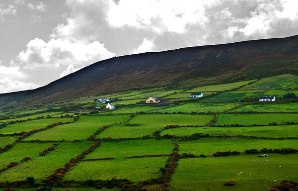 Ireland Poster featuring the photograph Irish Countryside #1 by Ed Peterson
