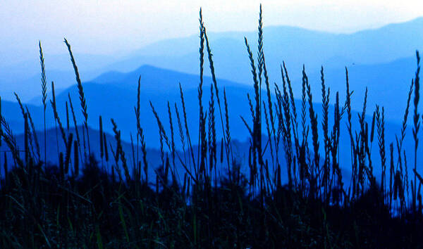 Blue Ridge Mountains Poster featuring the photograph Blue Ridge Mountains by Lori Miller
