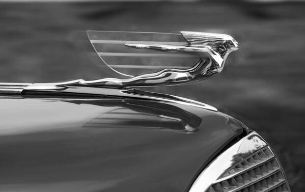 Car Poster featuring the photograph Chrome VII...1937 Cadillac by Roger Lapinski