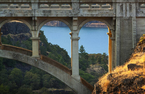 Bridge Poster featuring the photograph Dry Canyon Bridge by Jon Ares