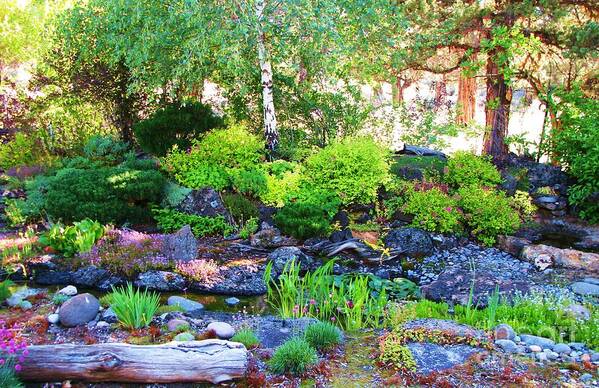 Garden Creek Poster featuring the photograph Garden Creek by Michele Penner