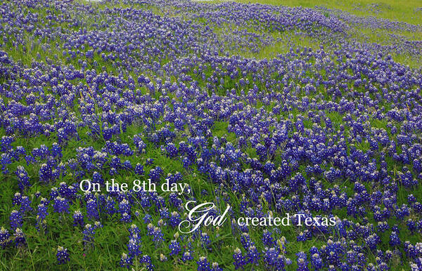 Wildflower Poster featuring the photograph God Created Texas Bluebonnets by Robyn Stacey