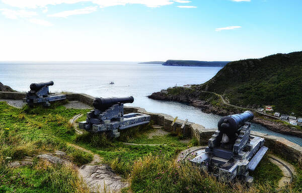 Newfoundland Poster featuring the photograph Guarding the Harbour by Steve Hurt