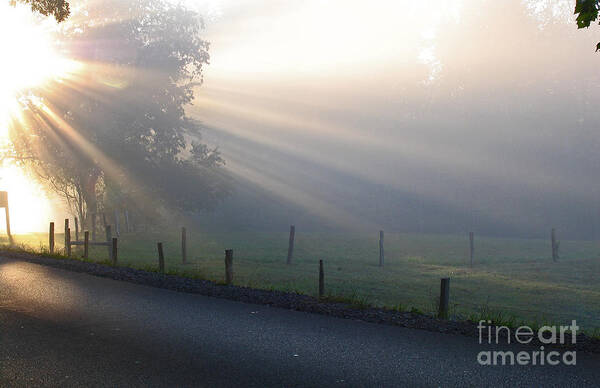 Light Poster featuring the photograph Hope Is In His Light by Douglas Stucky