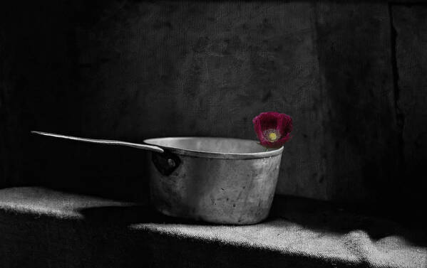 Still Life Poster featuring the photograph Hope by Robin-Lee Vieira