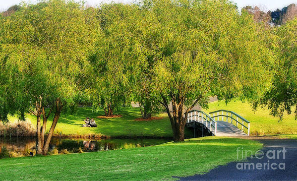 Photography Poster featuring the photograph Little Bridge over the River by Kaye Menner