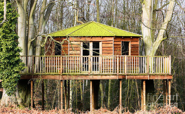 Treehouse Poster featuring the photograph Luxury tree house in the woods by Simon Bratt