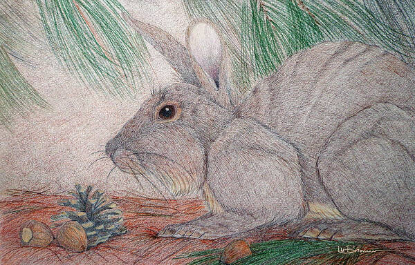Rabbit Poster featuring the drawing Nestled Beneath the Pines by Leslie M Browning