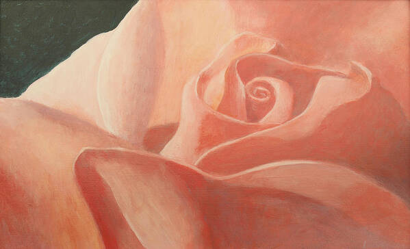 Rose Tania Flower Pink Poster featuring the painting Rose for Tania by Laurie Stewart