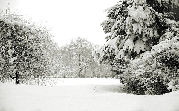 Lenny Carter Poster featuring the photograph Snow packed Park by Lenny Carter