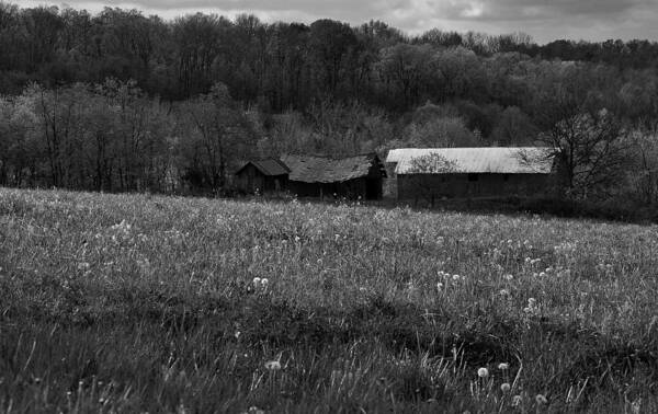 Field Poster featuring the photograph Spring Morning by Doug Hubbard