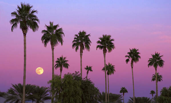 Tempe Arizona Poster featuring the photograph Sunset Moon by Dave Dilli